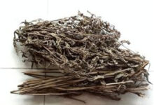 清热利湿的溪黄草茶可以常喝吗-茗扬网