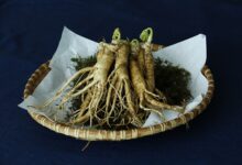 人参核桃茶的做法(人参炖鸡汤的做法)-茗扬网