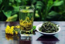 六大茶类茶叶的功效(六大茶叶的代表茶)-茗扬网