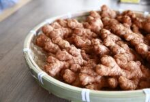 姜枣茶的做法，姜枣茶的功效与作用(立夏喝姜枣茶还是三伏天喝姜枣茶)-茗扬网