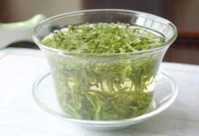 茵陈泡水喝的功效和禁忌是什么(茵陈泡水的功效与作用有哪些)-茗扬网