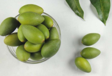 橄榄果泡水喝的作用是什么呢(橄榄果怎么泡水喝起什么作用)-茗扬网