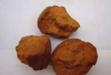 熊胆茶的功效与作用是什么-茗扬网