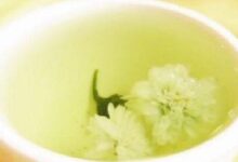 雪菊泡水喝的害处是什么？(昆仑雪菊的害处)-茗扬网