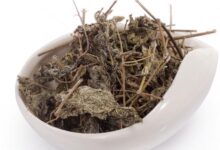 溪黄草茶的冲泡方法和功效(冬虫夏草的功效与作用及食用方法)-茗扬网