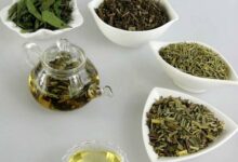 冬凌草茶的功效是什么呢(冬凌草片的功效与作用)-茗扬网