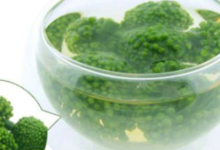 金不换泡水喝的功效是什么呢(金不换煮水的功效)-茗扬网