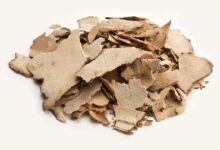 土茯苓泡水喝的功效你了解多少-茗扬网