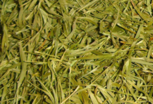 竹叶茶的功效与作用是什么呢(竹叶茶的功效与作用及食用方法)-茗扬网