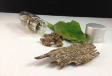 沉香茶叶价格是不是很贵-茗扬网