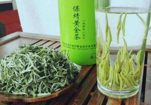 黄金茶是什么茶   价格多少钱一斤