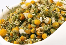 洋甘菊茶怎么喝   价格多少钱-茗扬网