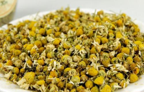 看看甘菊茶的挑选方法