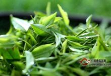 湖红工夫茶历史起源(书法的历史起源及简介)-茗扬网