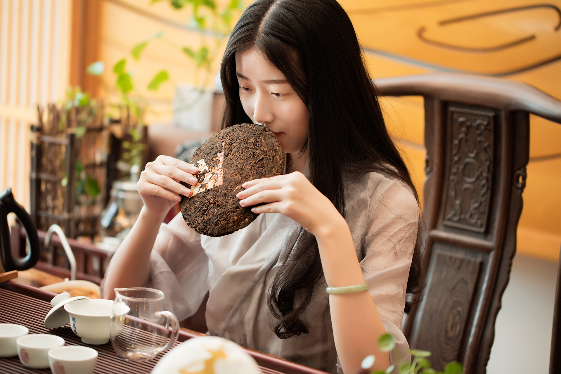 潮汕功夫茶的历史简介