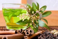 茶文化知识,这8种茶叶的妙用你是否都知道呢(中国茶文化)-茗扬网