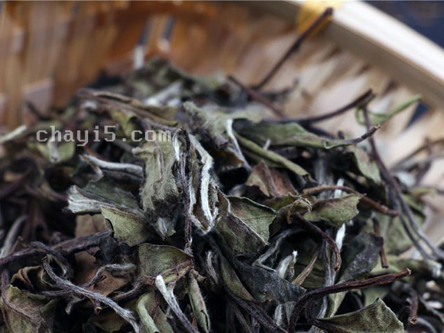 茶的起源