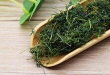 武夷龙须茶的历史与制法(天龙八部武夷冰妖分布图)-茗扬网