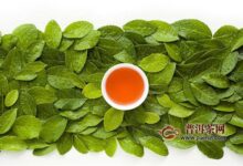 英红九号为什么叫九号？英红九号的由来！(英红九号好还是英红一号贵)-茗扬网